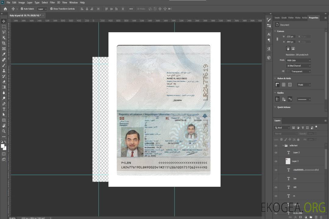 Passeport du Liban 2021-présent template